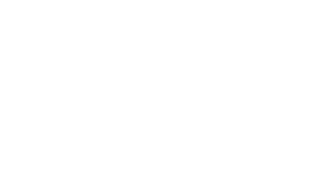 Immagine per la categoria Pneumatici